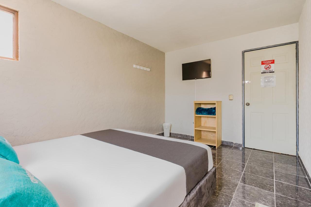 Ayenda Blue Cristal Hotel Monterrey Exterior photo